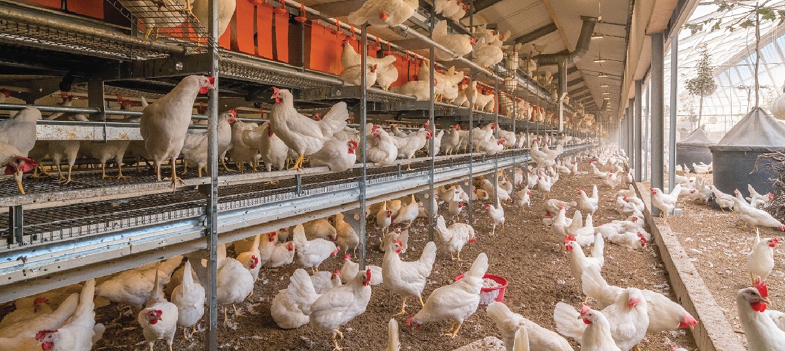 Integrating Environmental Control Through System Design
