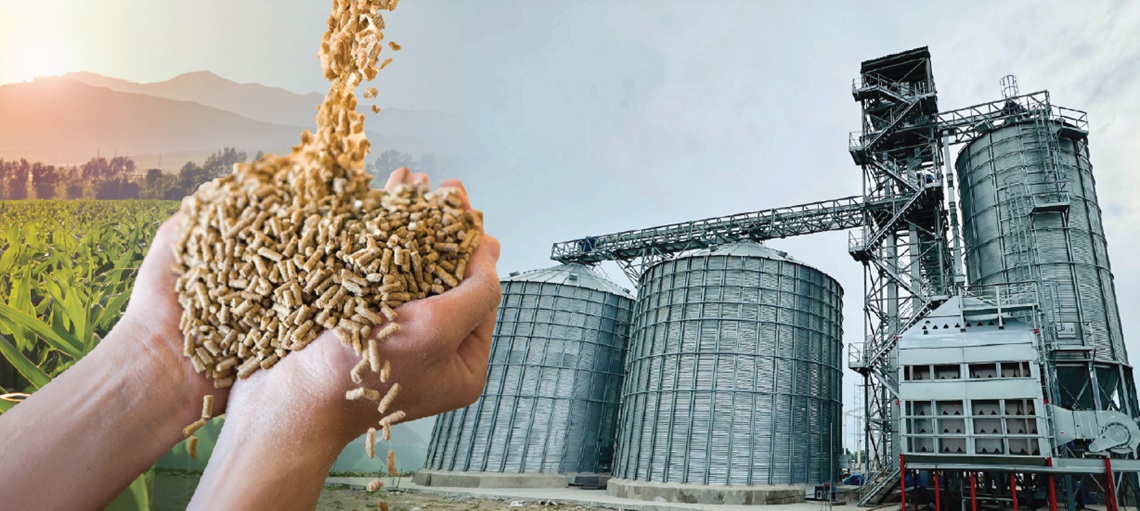 Rethinking Feed at the Source