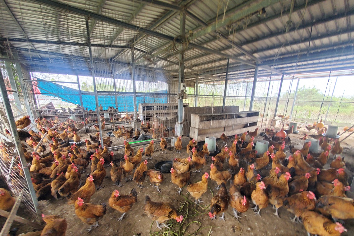 Traditional open house concept prior to the upgrade