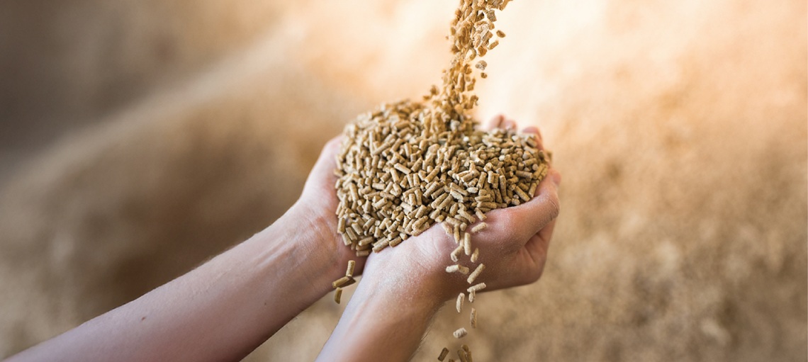 On-Farm Milling: Fresh, Flexible Feed Production