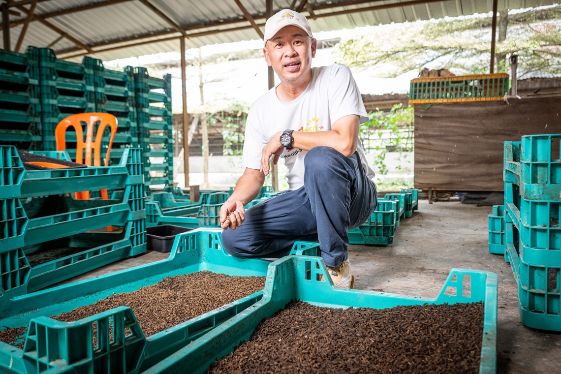 Liang Kee Farming is not just a poultry operation; it is a thriving agricultural ecosystem.