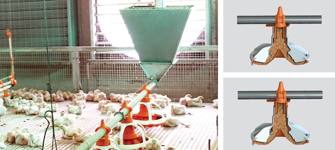 AugerMatic Feeding System