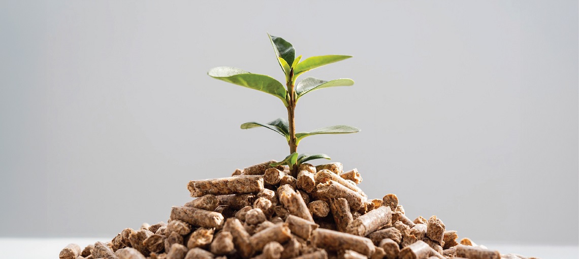 Upcycling waste means there are potential profits to be made.
