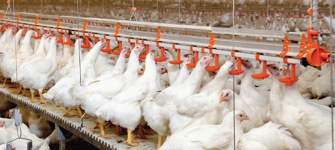 Water Stress Trends Across Asia Pacific