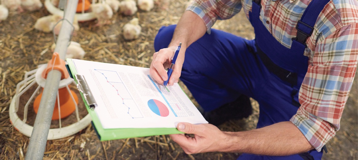 Consistent, continuous training breeds efficiency