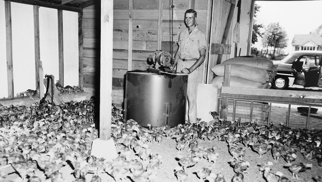 1948: Model A Feeder Launched