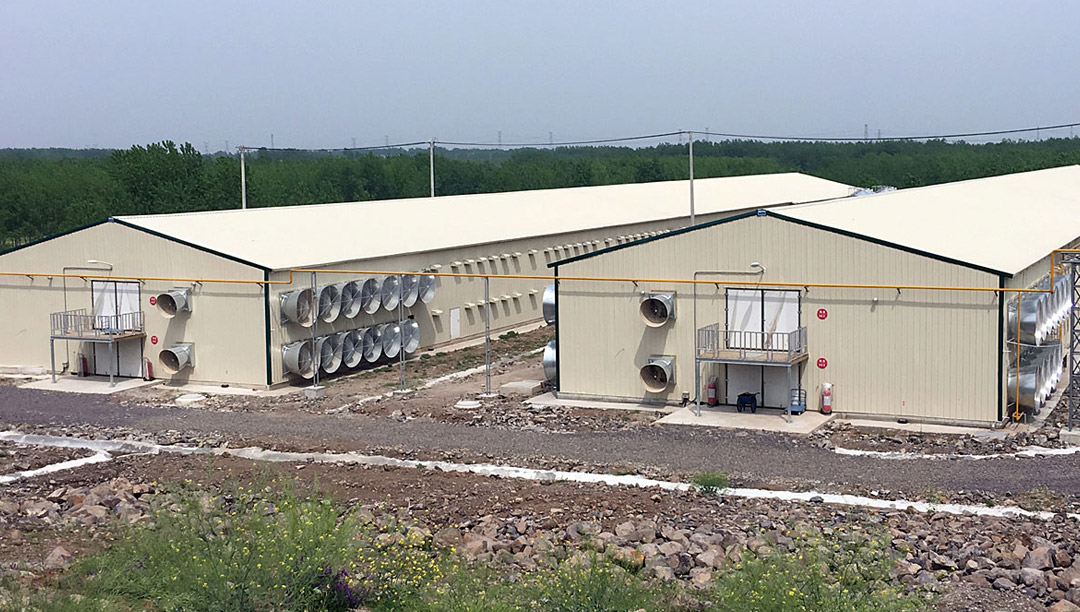 2017: Acquisition of Agricon