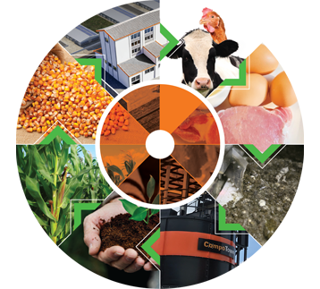 <h2><strong><span style="color:#f47920">Featured Solution:</span><br />
On-Farm Feed Milling</strong></h2>
