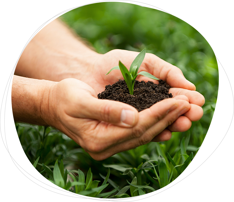 Helping You Grow from Strength to Strength
